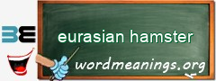 WordMeaning blackboard for eurasian hamster